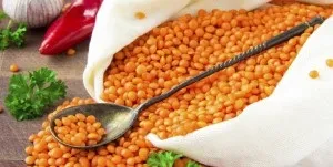 Сочевиця користь і шкода для організму, протипоказання, рецепти (протипоказання) Сочевиця користь і шкода для організму, протипоказання, рецепти