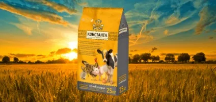 Чого хочуть кролики, константа (константа) Чого хочуть кролики, константа