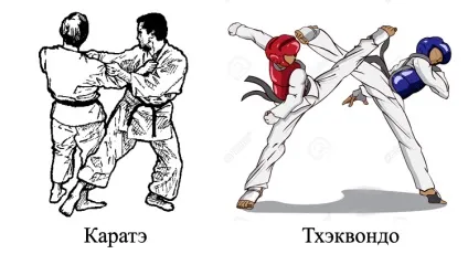 Чим карате відрізняється від тхеквондо