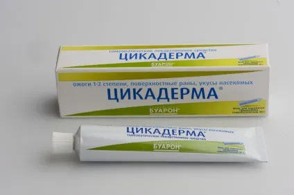 Чим обробити укуси постільних клопів в домашніх умовах