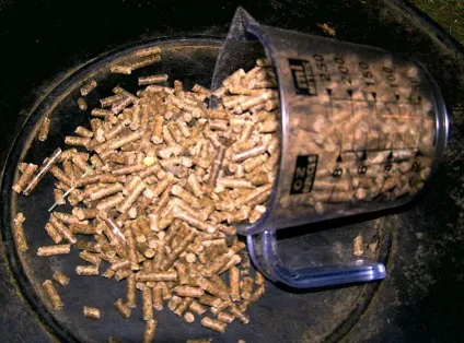 Чим годувати курей - з чого складається правильний курячий раціон