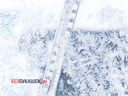 Чого бояться воші бояться запаху, спеки, холоду (чого) Чого бояться воші бояться запаху, спеки, холоду