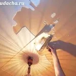 Чим покрити дах сараю просто і недорого, дача (недорого) Чим покрити дах сараю просто і недорого, дача