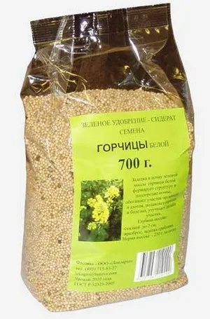 Чим корисна гірчиця як добриво в городі, і коли потрібно її сіяти (рослина гірчиця добриво посів городі картоплі коли потрібно сіяти садити) Чим корисна гірчиця як добриво в городі, і коли потрібно її сіяти