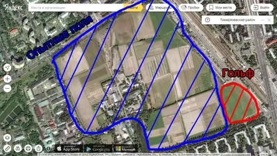 Чим відрізняється цукровий буряк від кормової (відрізняється) Чим відрізняється цукровий буряк від кормової