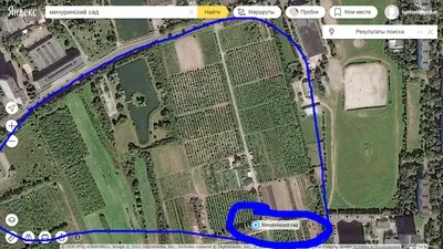 Чим відрізняється цукровий буряк від кормової (цукрова) Чим відрізняється цукровий буряк від кормової
