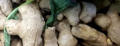 Чим корисний імбир для чоловіків (чоловіків) Чим корисний імбир для чоловіків