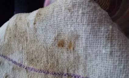 Чим відіпрати рушники в домашніх умовах (умовах) Чим відіпрати рушники в домашніх умовах