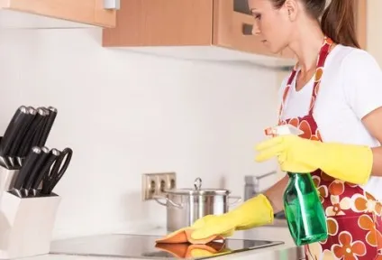 Чим відмити жир з кухонних меблів народні і побутові способи (кухонної) Чим відмити жир з кухонних меблів народні і побутові способи