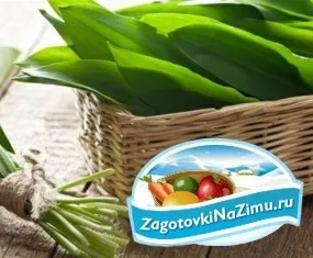 Черемша на зиму золоті рецепти з покроковими фото (рецепти) Черемша на зиму золоті рецепти з покроковими фото