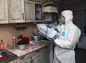 Чорні каналізаційні таргани - як вони з'являються і методи боротьби з ними (чорні) Чорні каналізаційні таргани - як вони з'являються і методи боротьби з ними