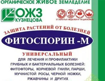 Чорна ніжка на розсаді - заходи боротьби і профілактики, будиночок в селі (розсаді) Чорна ніжка на розсаді - заходи боротьби і профілактики, будиночок в селі