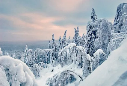 Чорна скеля
