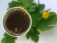 Чистотіл від позбавляючи чи можна мазати чистотілом лишай (чистотілом) Чистотіл від позбавляючи чи можна мазати чистотілом лишай