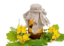 Чистотіл - лікування шкірних захворювань (лікування) Чистотіл - лікування шкірних захворювань
