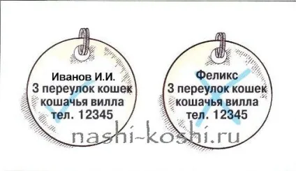 Що робити, якщо кішка загубилася, все про кішок