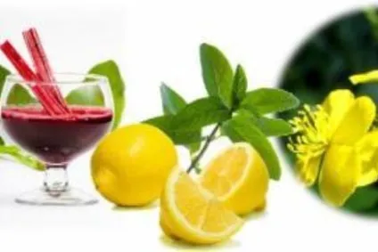 Чистка лімфи народними засобами, рецепти, відгуки (чистка) Чистка лімфи народними засобами, рецепти, відгуки