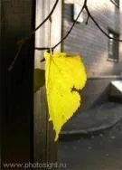 Що може жінка! (Жіноча психологія) (психологія) Що може жінка! (Жіноча психологія)
