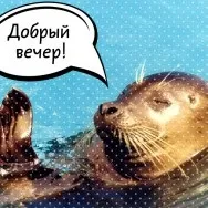 Що робити з дівчиною під час танцю (танцю) Що робити з дівчиною під час танцю