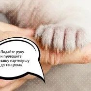 Що робити з дівчиною під час танцю (можливо тільки після) Що робити з дівчиною під час танцю
