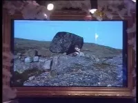 Що де коли (огляд випуску 2003-12-26) (отримує Рахунок Раунд) Що де коли (огляд випуску 2003-12-26)