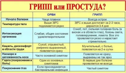 Що робити при застуді в домашніх умовах швидко народними засобами лікування ефективне, перші (домашніх) Що робити при застуді в домашніх умовах швидко народними засобами лікування ефективне, перші