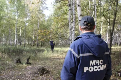 Що робити, якщо заблукав у лісі правила поведінки в критичних ситуаціях (робити) Що робити, якщо заблукав у лісі правила поведінки в критичних ситуаціях