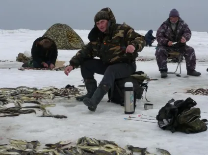 Що повинен знати справжній рибалка (повинен) Що повинен знати справжній рибалка