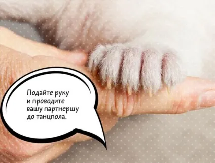 Що робити з дівчиною під час танцю (танцю) Що робити з дівчиною під час танцю