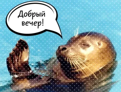 Що робити з дівчиною під час танцю (WeLoveDance можливо тільки після) Що робити з дівчиною під час танцю