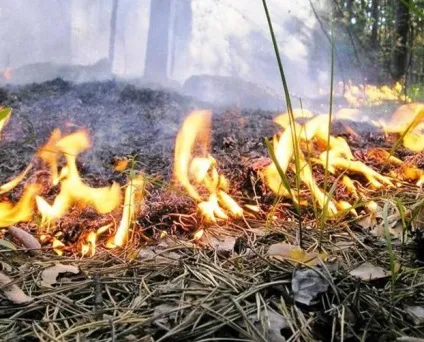 Що робити при пожежі в квартирі, на балконі або в під'їзді правила безпечної поведінки при (пожежа на балконі що робити) Що робити при пожежі в квартирі, на балконі або в під'їзді правила безпечної поведінки при