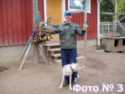 Що потрібно знати, щоб навчитися управляти собачою упряжкою, Химос (повороту нахилом тіла) Що потрібно знати, щоб навчитися управляти собачою упряжкою, Химос
