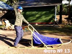 Що потрібно знати, щоб навчитися управляти собачою упряжкою, Химос (потрібно) Що потрібно знати, щоб навчитися управляти собачою упряжкою, Химос