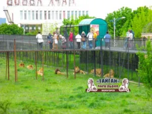 Що подивитися з дітьми в криму топ-10 місць (топ-10) Що подивитися з дітьми в криму топ-10 місць