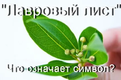 Що означає символ - лавровий лист значення вінка з лавра (листя лавра) Що означає символ - лавровий лист значення вінка з лавра