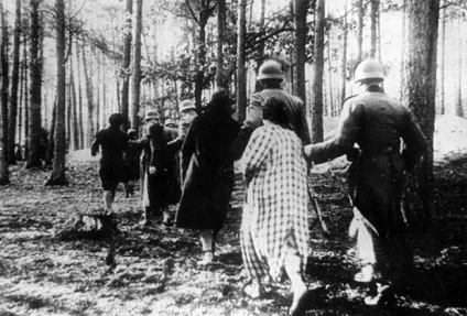 Що нацисти витворяли з польськими жінками історія наука і техніка (нацисти) Що нацисти витворяли з польськими жінками історія наука і техніка