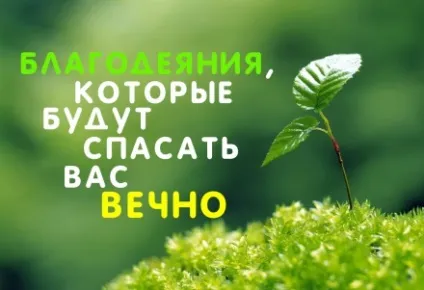 10 Дивних фактів про мечетях