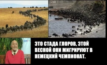 Автобус, гном, фізрук