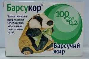 Борсуковий жир при бронхіті у дорослих і дітей, як правильно приймати (як правильно приймати борсуковий жир при бронхіті) Борсуковий жир при бронхіті у дорослих і дітей, як правильно приймати