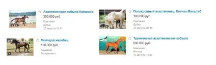 Ахалтекінська порода коней ціна, фото і відео (ахалтекинськая) Ахалтекінська порода коней ціна, фото і відео