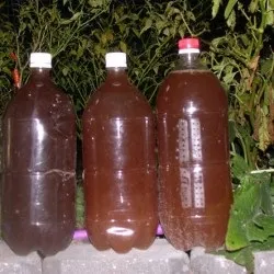 Біогумус (рідкий) спосіб застосування, як користуватися для розсади, що це таке, відгуки