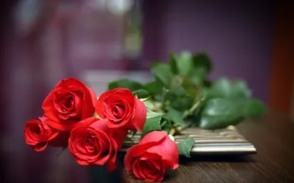 Букети квітів фото красиві, якісні і оригінальні (квітів) Букети квітів фото красиві, якісні і оригінальні