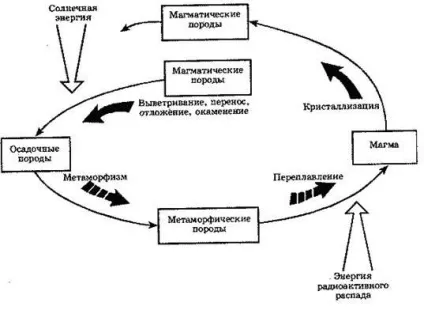 Біологічний і геологічний кругообіг речовин - основи екології (геологічний) Біологічний і геологічний кругообіг речовин - основи екології
