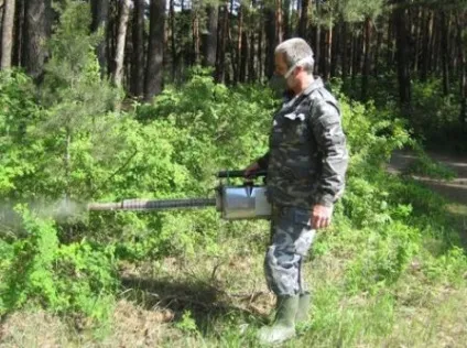 Чим обробити ділянку від кліщів самостійно, садоводство24 (обробити ділянку кліщів) Чим обробити ділянку від кліщів самостійно, садоводство24