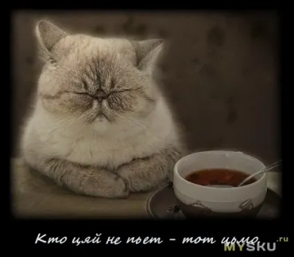 Чай лапсанг Сушонг