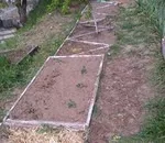 Що робити, насіннєву картоплю в льосі затопило водою (сад і город) Що робити, насіннєву картоплю в льосі затопило водою