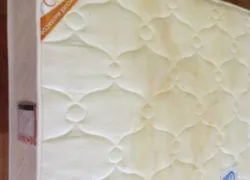 Чистка матраців на дому з гарантією якості - хімчистка - Шеєле (Шеєле) Чистка матраців на дому з гарантією якості - хімчистка - Шеєле