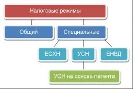 Що краще ип або ооо 5 категорій для порівняння (звітність згідно з такими) Що краще ип або ооо 5 категорій для порівняння
