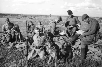Чотириногі солдати »