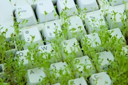 Що можна зробити зі старої клавіатури екологічний дайджест (своїми руками) Що можна зробити зі старої клавіатури екологічний дайджест